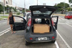 Reprodução | Polícia Militar