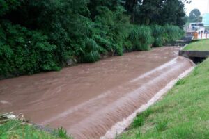 Renato Riso | O Taboanense
