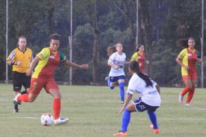 Divulgação | PMETEA