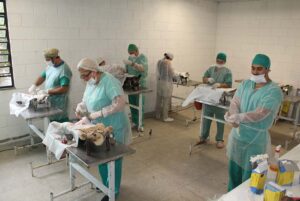 Cynthia Gonçalves | Divulgação