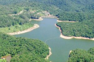 Reprodução | TV Globo