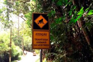 Divulgação | PMETEA