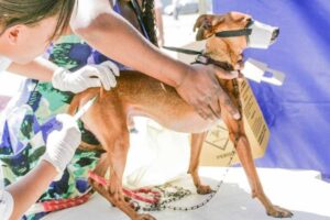 Thiago Neme | Gazeta de S.Paulo