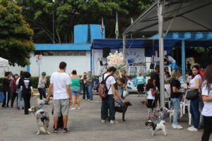 Divulgação | Patre