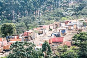 Thiago Neme / Gazeta de S. Paulo