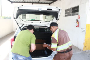 Ricardo vaz / Divulgação