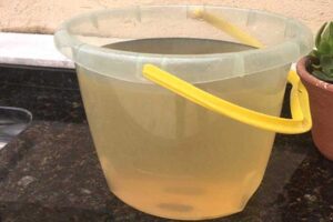 Reprodução | Leitor do Portal O Taboanense