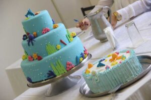 Charles Eliseu | PMTS