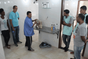 Charles Eliseu | PMTS