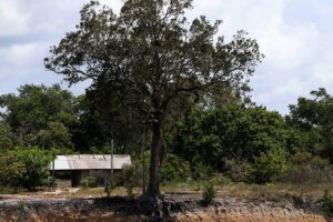 Arquivo/Agência Brasil