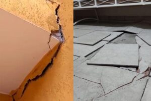 Divulgação | Leitor do Portal O Taboanense