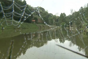 Reprodução / TV Globo