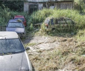 Thiago Neme | Gazeta de S. Paulo