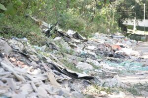 Thiago Neme | Gazeta de S.Paulo