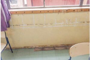 Reprodução | Verbo Online