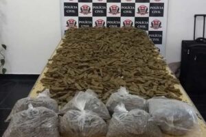 Decap | Reprodução