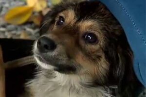 Reprodução | Record TV