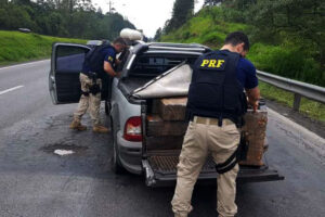 Divulgação / PRF