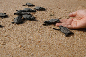 Fernando Frazão/Agência Brasil