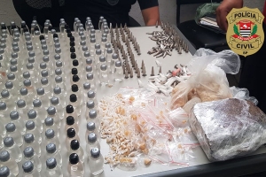 Divulgação / Polícia Civil