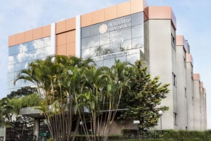 Reprodução | Internet