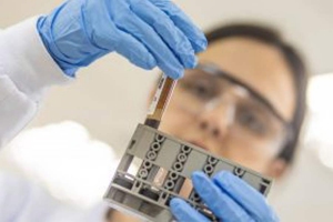 Portal do Governo de SP