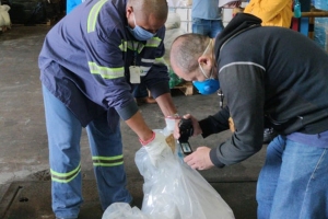 DEIC / OCN / Divulgação