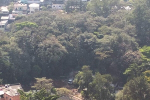 Divulgação | Leitor Postal O Taboanense