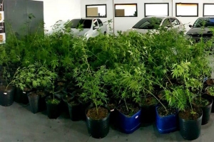 Divulgação / Polícia Civil