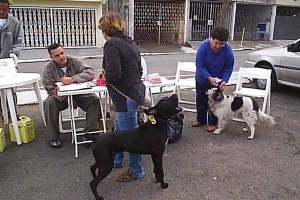 Acervo / Portal O Taboanense