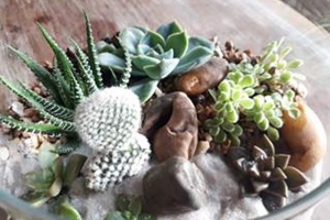 Divulgação | Senac Taboão da Serra