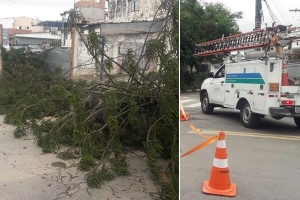 Reprodução / Facebook / Agentes de Trânsito