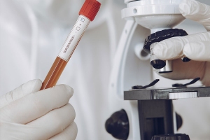 FreePik / prostooleh