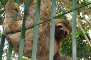 Reprodução / Celso Vasconcellos