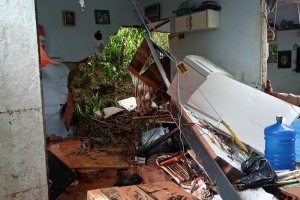 Celso Vasconcellos / Pinga Fogo