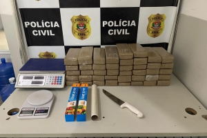 Reprodução | Polícia Civil