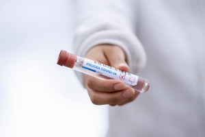 Fernando Zhiminaicela / Pixabay