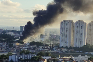 Nely Rossany | Gazeta de S.Paulo