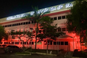 Cynthia Gonçalves | Patre