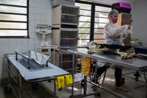 Petterson Costa | PMTS