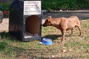 Divulgação | Bruna Gomes