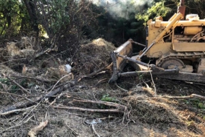 Divulgação / Polícia Militar