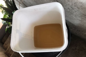 Divulgação | Leitora do Portal O Taboanense