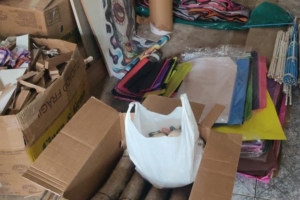 Reprodução | Polícia Militar