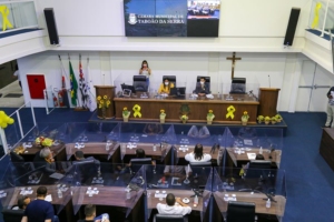 Leandro Barreira / Imprensa CMTS / Divulgação