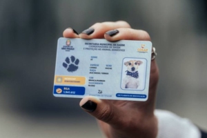 Divulgação / Prefeitura de SP