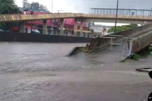 Rerodução / Viação Pirajuçara