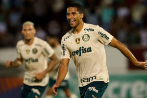 Cesar Greco / Palmeiras