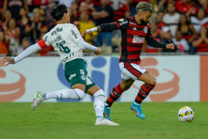 Marcelo Corte / Flamengo