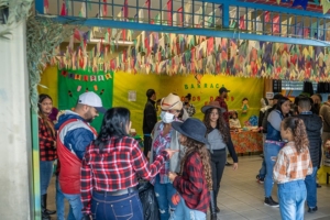 Petterson Costa | PMTS